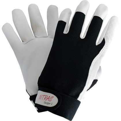 Gant Cuir Nappa T10 V10