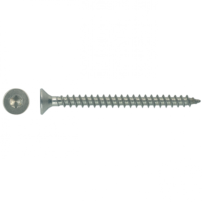 SPANPLATTENSCHR.TORX T10 VOLLG.VZ 3,0X20