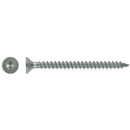 SPANPLATTENSCHR.TORX T25 TEIL.VZ 5,0X100