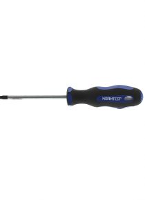 TORX-SCHRAUBENDREHER T-25x100MM